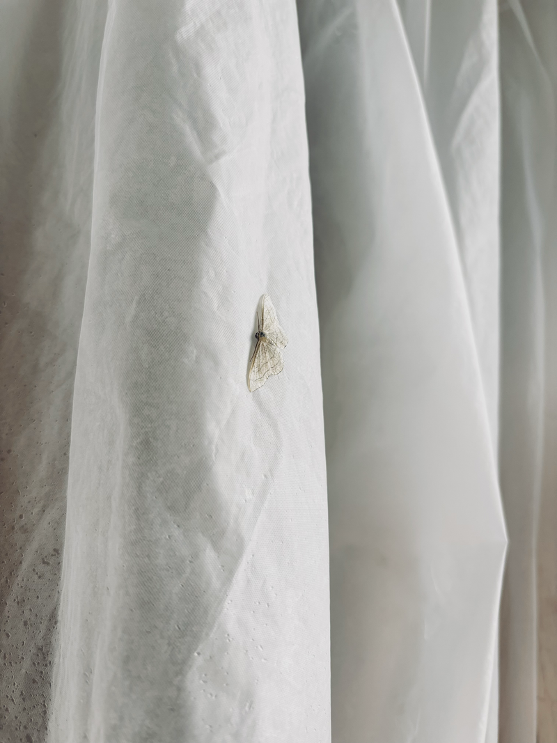 © Tyler Ashford - Image from the Dyfal donc a dyr y garreg photography project