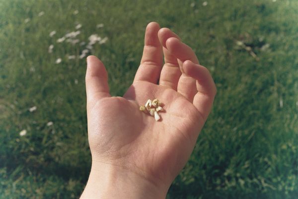 © Tyler Ashford - Image from the Dyfal donc a dyr y garreg photography project