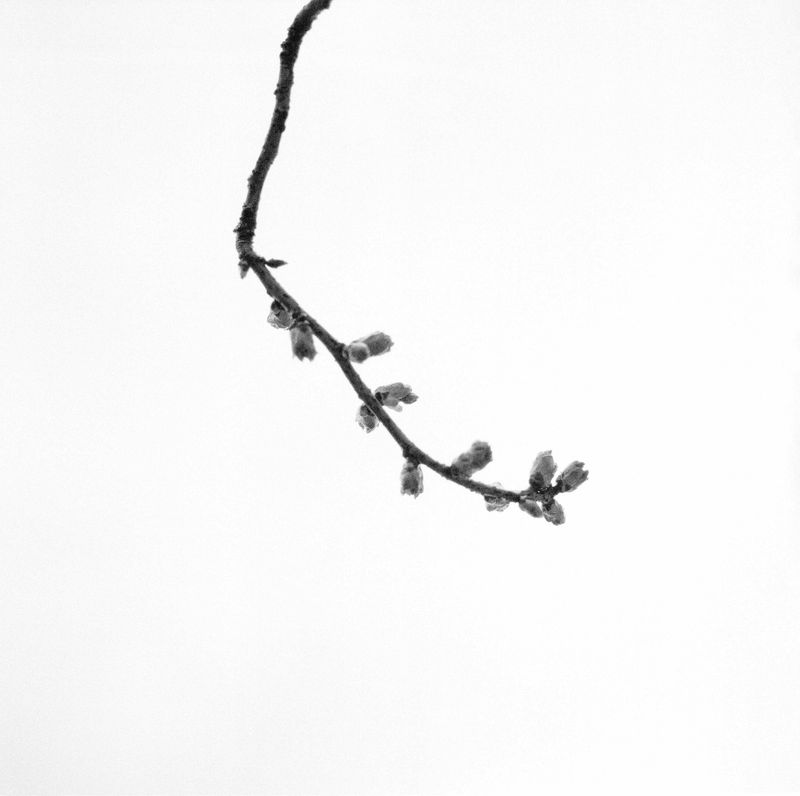 © Tyler Ashford - Image from the You can be the Dad photography project