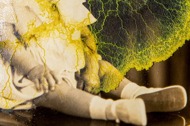© Roberta Stamato - Image from the Genetic Memory photography project