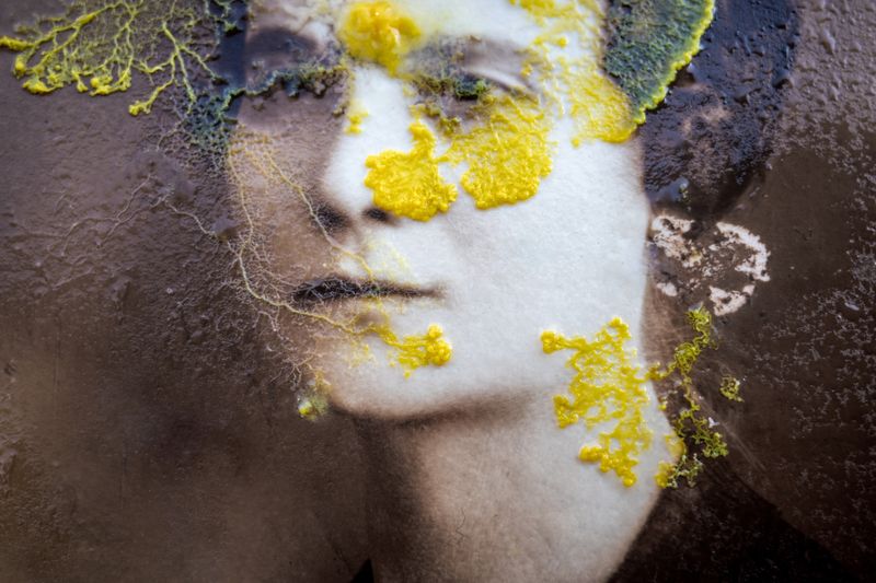 © Roberta Stamato - Image from the Genetic Memory photography project