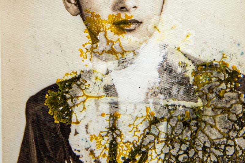 © Roberta Stamato - Image from the Genetic Memory photography project