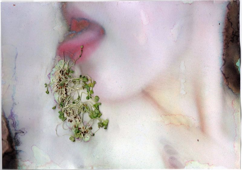 © Roberta Stamato - Ecosex in The Other Way AroundWhat if "nature" took an active role in this relationship?