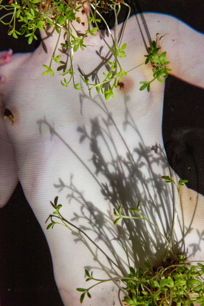 © Roberta Stamato - Ecosex in The Other Way AroundWhat if "nature" took an active role in this relationship?