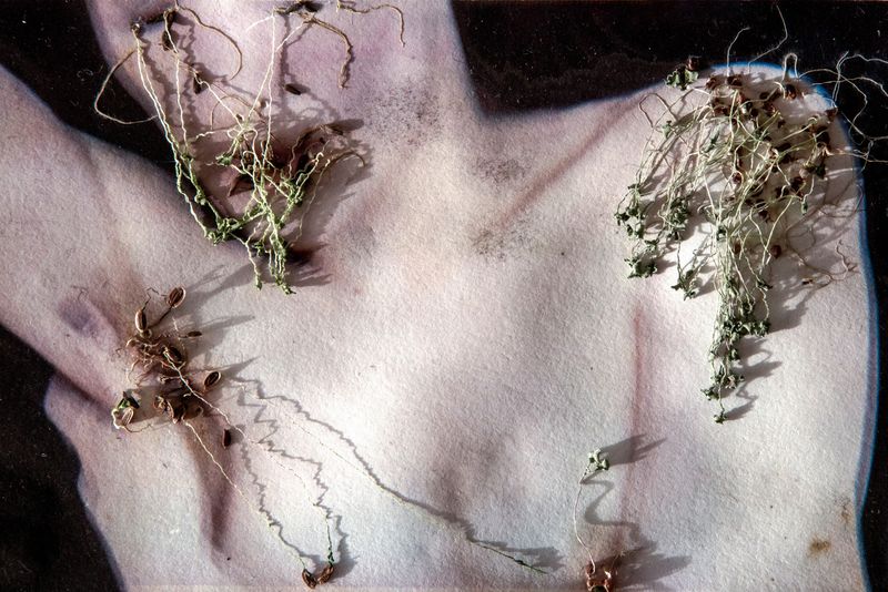 © Roberta Stamato - Ecosex in The Other Way AroundWhat if "nature" took an active role in this relationship?
