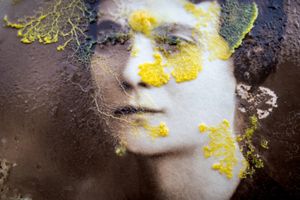 Genetic Memory