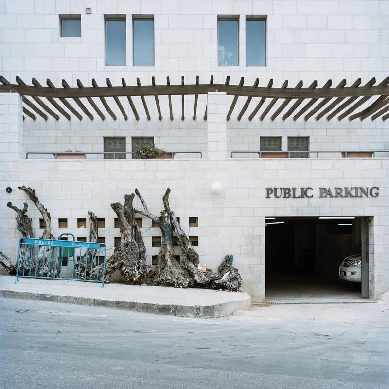 © Federico Busonero - Olive trunks chained to the Peace Center, Bethlehem, Palestine.
