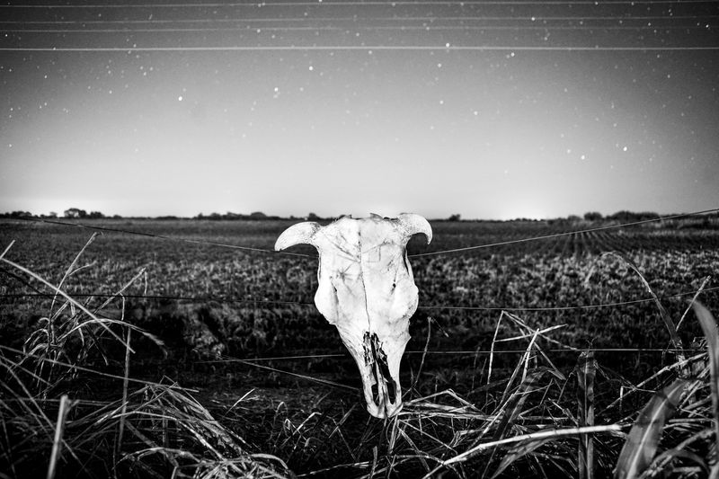 © Pablo Piovano - 20-12-2016 province of Santa Fe.