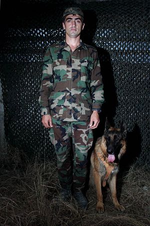 Dog service in Caucasus