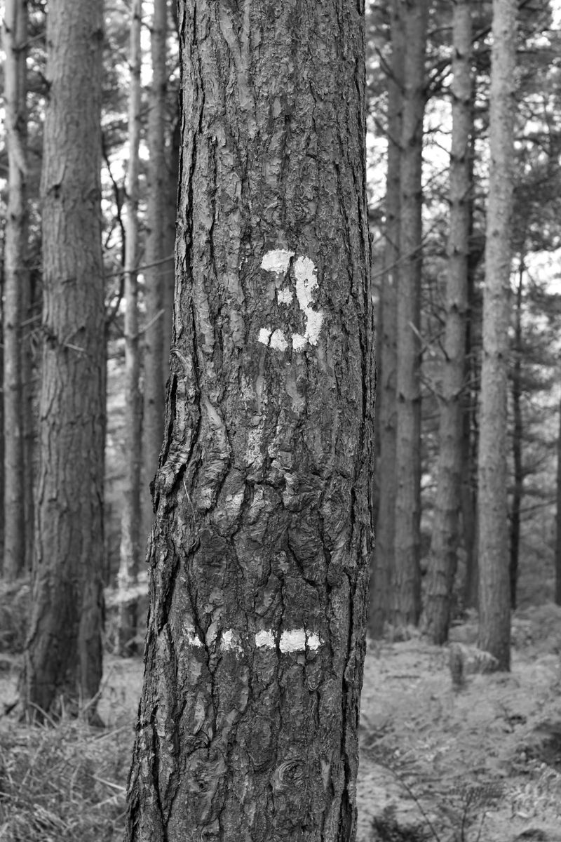 © Roz Doherty - Image from the The Golden Age of Hijacking photography project