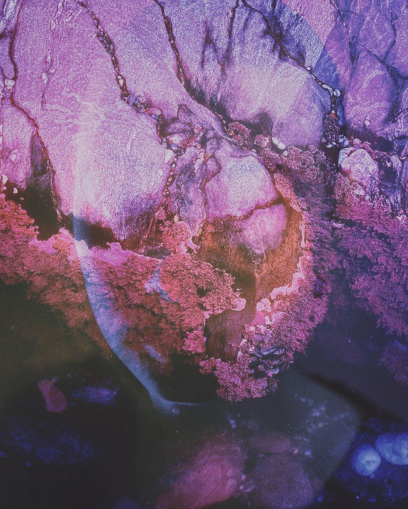 © Maria Louceiro - Image from the Solarpunk photography project