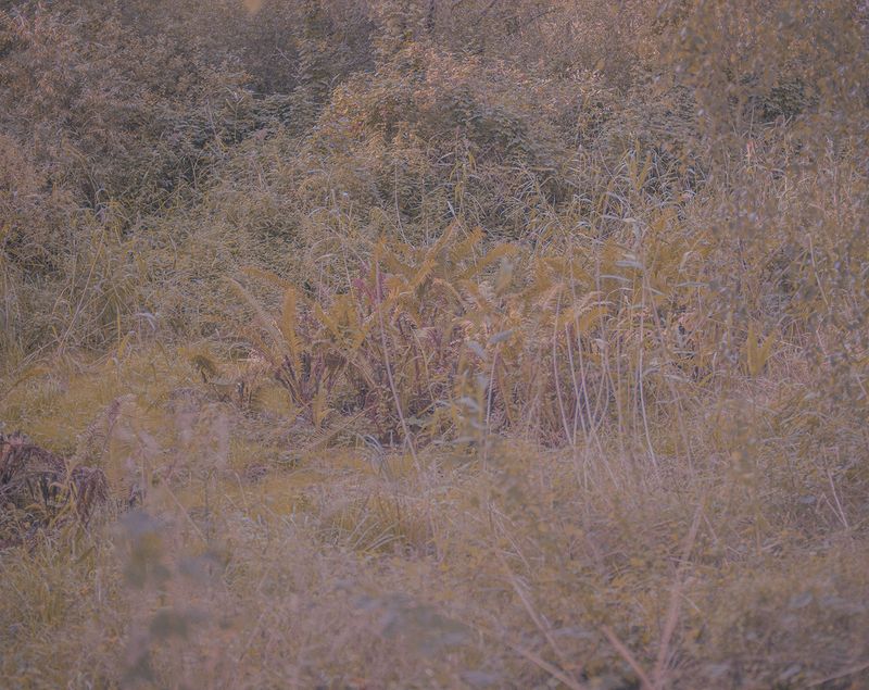 © Maria Louceiro - Image from the Hohenschönhausen photography project