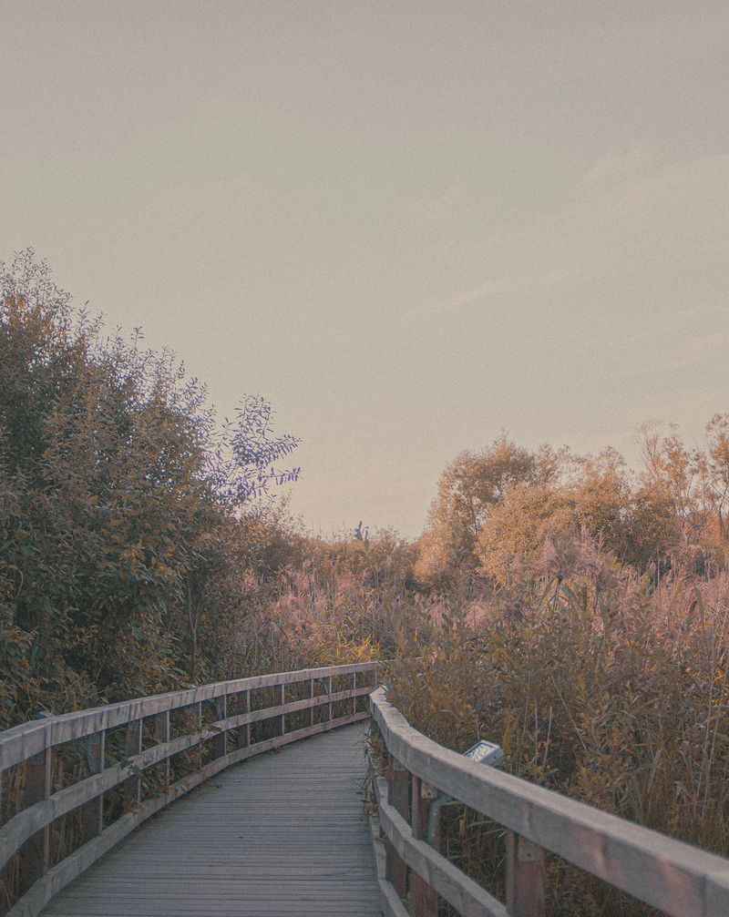 © Maria Louceiro - Image from the Hohenschönhausen photography project