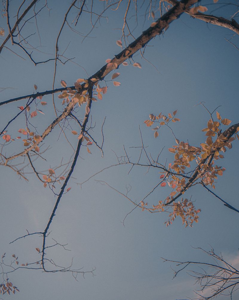 © Maria Louceiro - Image from the Hohenschönhausen photography project