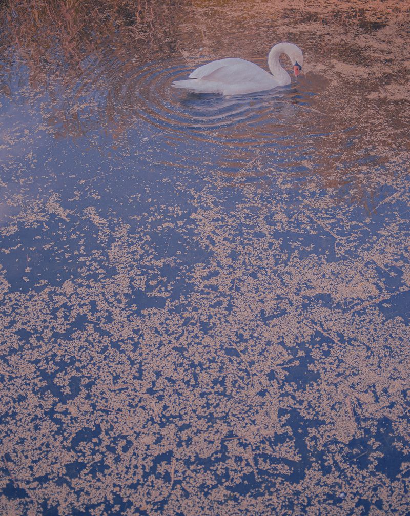 © Maria Louceiro - Image from the Hohenschönhausen photography project