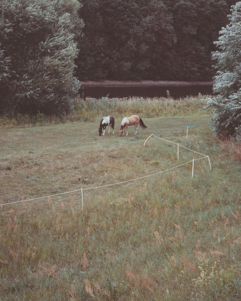 © Maria Louceiro - Image from the Stolzenhagen: Where Borders Blur photography project