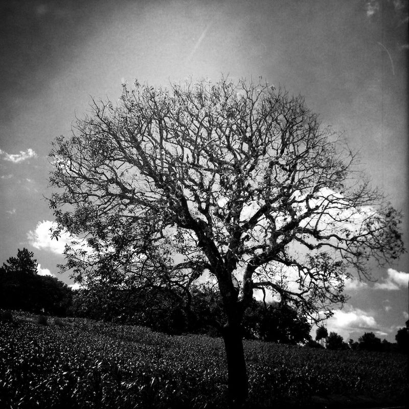 © James Rodriguez - Image from the macondo ain't nothin' photography project