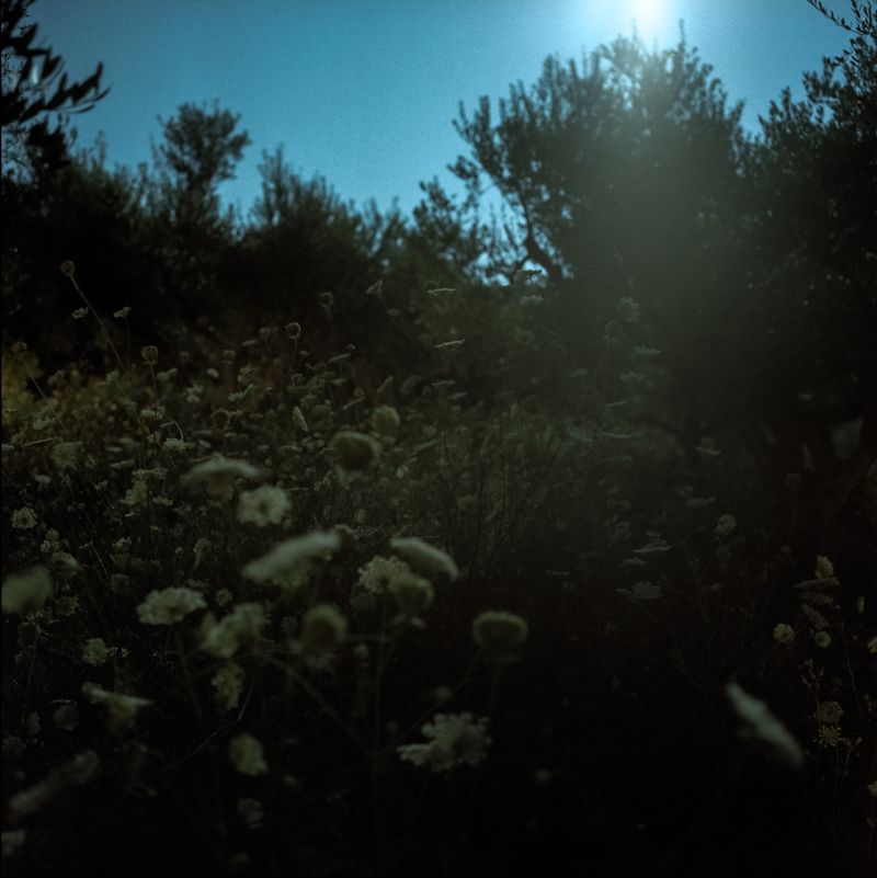 © Enrico Di Nardo - Image from the ALL photography project