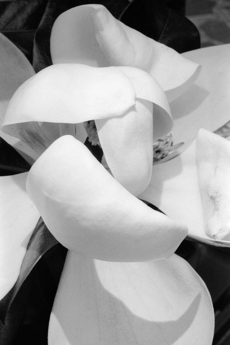 © Enrico Di Nardo - Image from the ALL photography project