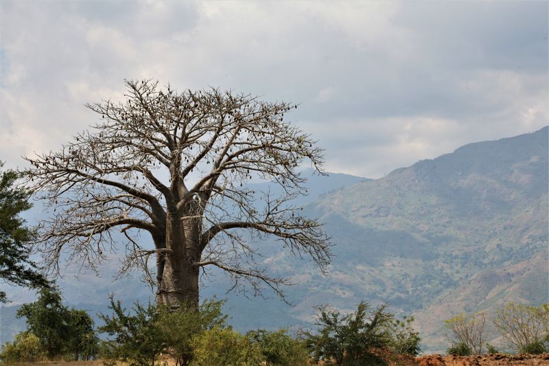 © Ossetrova Eugeniya - Image from the People in nature | Tanzania photography project