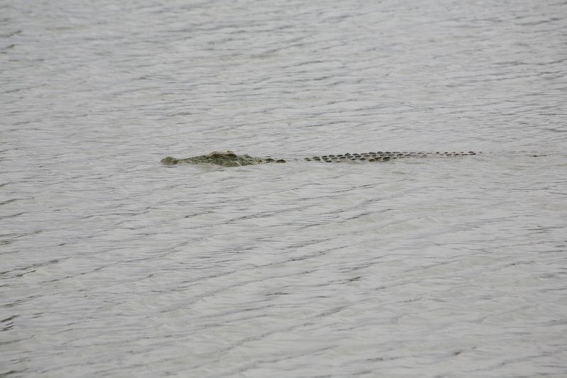 © Ossetrova Eugeniya - Image from the People in nature | Tanzania photography project