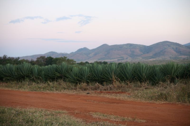 © Ossetrova Eugeniya - Image from the People in nature | Tanzania photography project