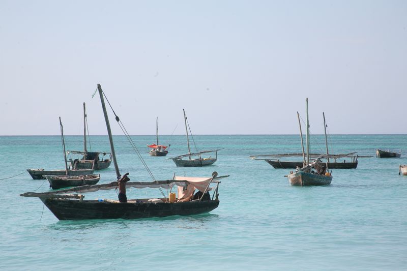 © Ossetrova Eugeniya - Image from the People in nature | Tanzania photography project