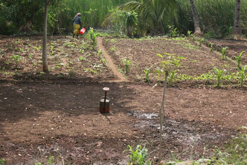 © Ossetrova Eugeniya - Image from the People in nature | Tanzania photography project