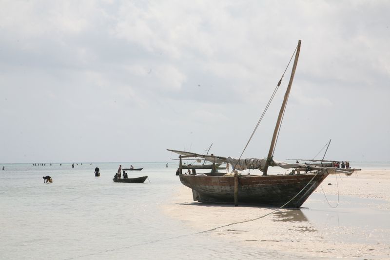 © Ossetrova Eugeniya - Image from the People in nature | Tanzania photography project