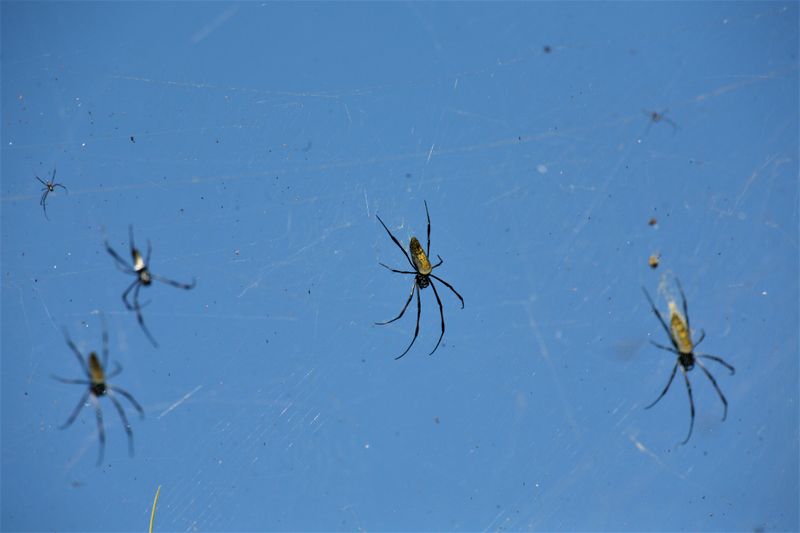 © Ossetrova Eugeniya - Image from the People in nature | Tanzania photography project