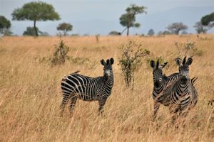 People in nature | Tanzania