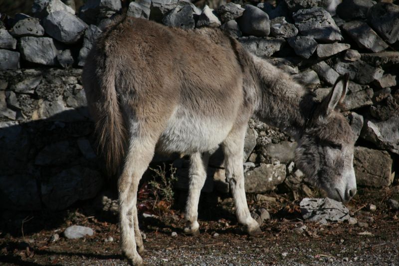 © Ossetrova Eugeniya - Image from the back view photography project