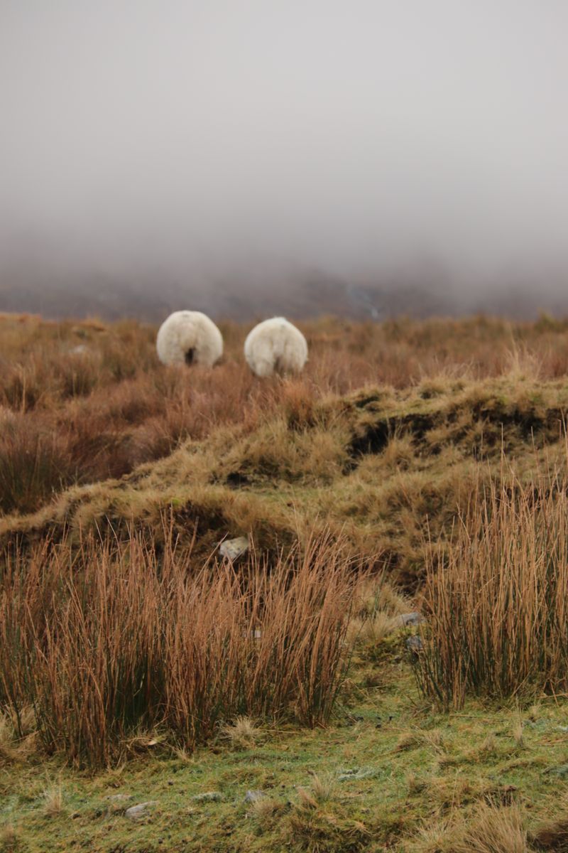 © Ossetrova Eugeniya - Image from the back view photography project