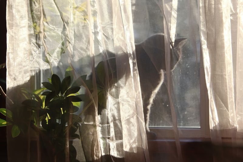 © Ossetrova Eugeniya - Image from the back view photography project