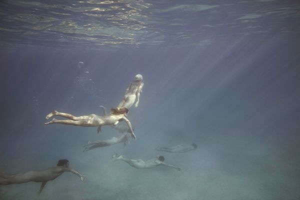 © Tamara Dean - Endangered 4