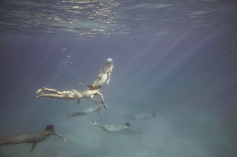 © Tamara Dean - Endangered 4