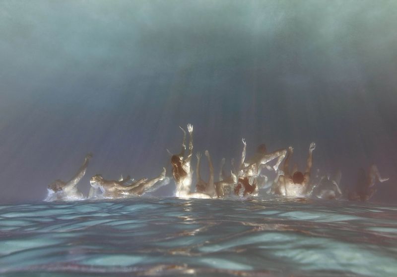 © Tamara Dean - Endangered 5