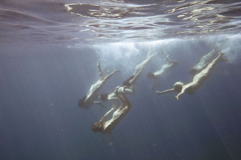 © Tamara Dean - Endangered 6