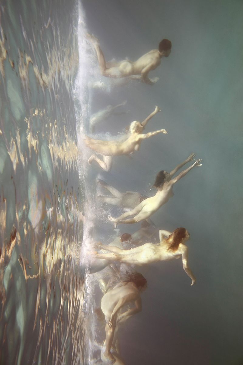 © Tamara Dean - Endangered 2