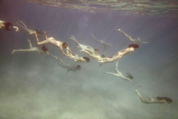 © Tamara Dean - Endangered 3