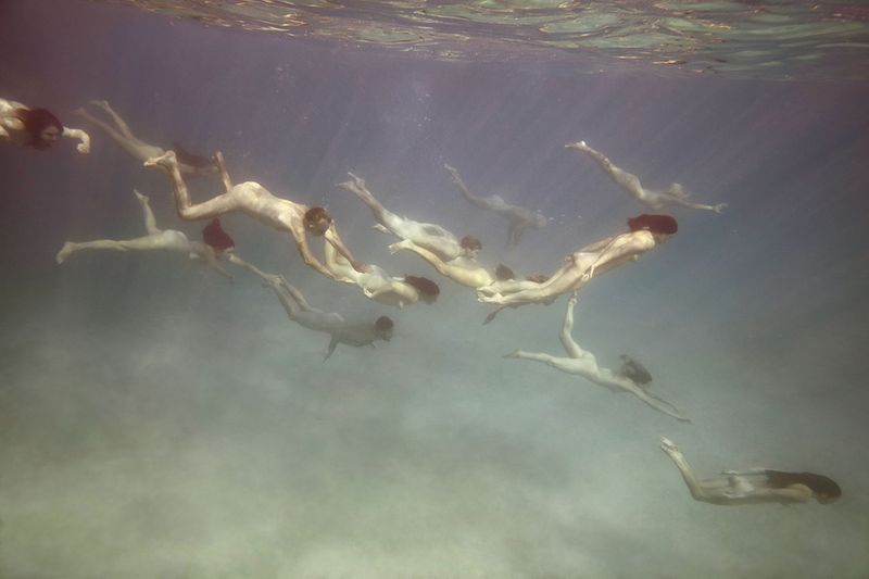 © Tamara Dean - Endangered 3