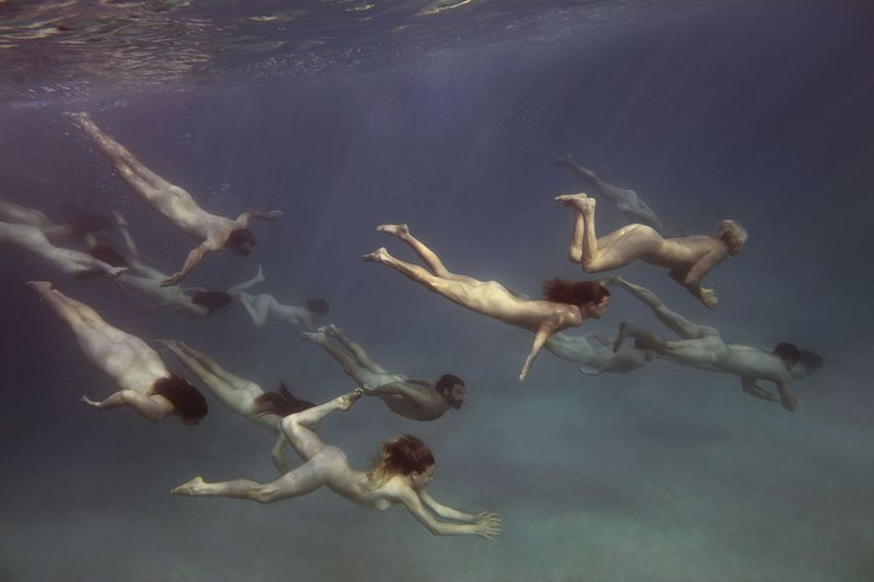 © Tamara Dean - Endangered 1