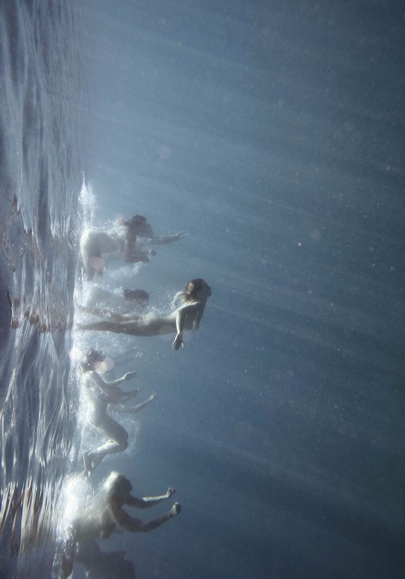 © Tamara Dean - Endangered 7