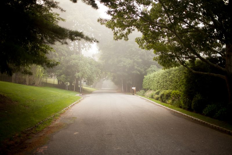 © Lindsay Morris - Our road was paved several years after we moved in. We loved living on a dirt road. Everything has changed here.