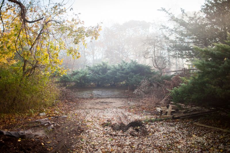 © Lindsay Morris - My next-door neighbor's yard.