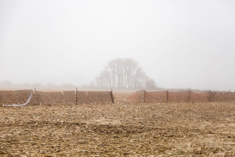 © Lindsay Morris - View of a farm a few miles from my house.