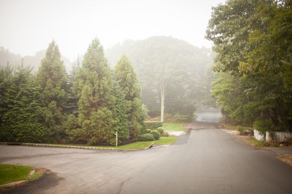 © Lindsay Morris - Walking my neigborhood, Sag Harbor, NY.