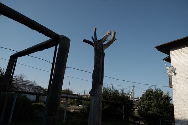 © ANASTASIA DUBRAVA - Image from the When the trees were big photography project