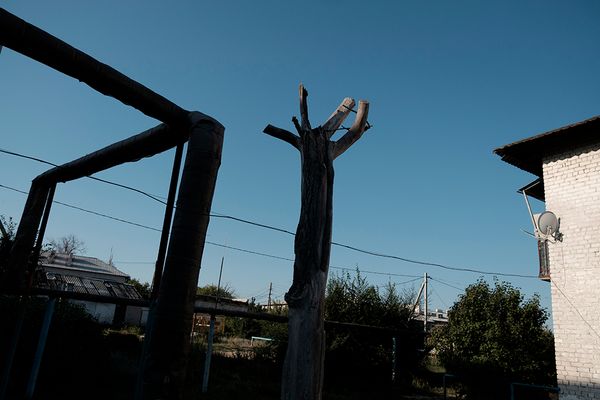 © ANASTASIA DUBRAVA - Image from the When the trees were big photography project