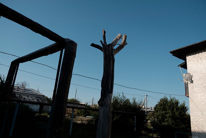 © ANASTASIA DUBRAVA - Image from the When the trees were big photography project